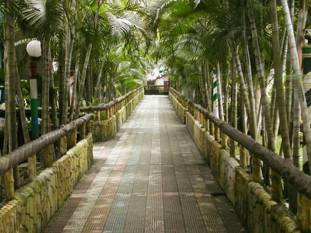 Palm Village Resort Калькутта Экстерьер фото